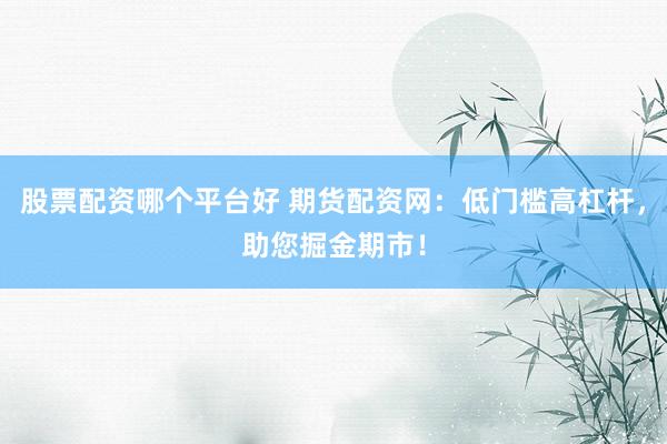 股票配资哪个平台好 期货配资网：低门槛高杠杆，助您掘金期市！