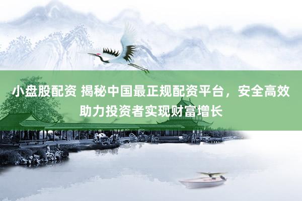 小盘股配资 揭秘中国最正规配资平台，安全高效助力投资者实现财富增长