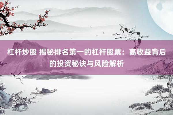 杠杆炒股 揭秘排名第一的杠杆股票：高收益背后的投资秘诀与风险解析