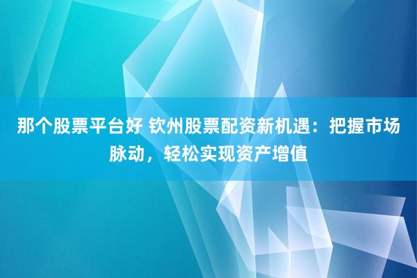 那个股票平台好 钦州股票配资新机遇：把握市场脉动，轻松实现资产增值