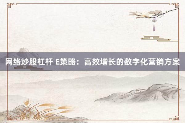 网络炒股杠杆 E策略：高效增长的数字化营销方案