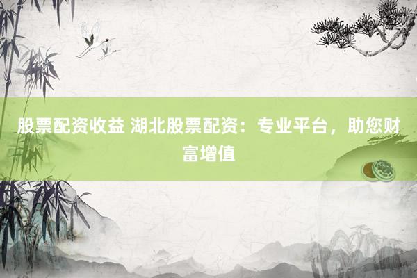 股票配资收益 湖北股票配资：专业平台，助您财富增值