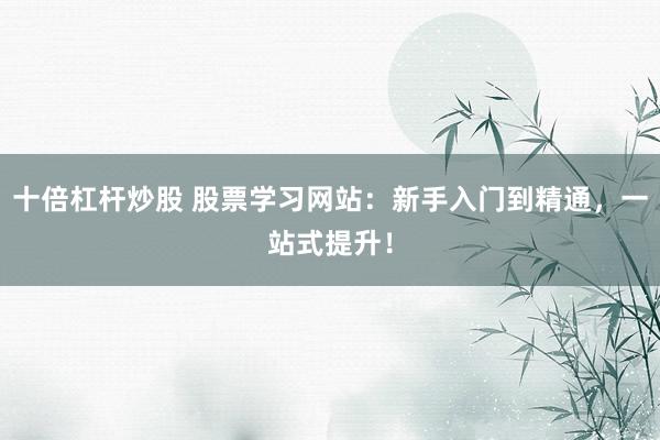 十倍杠杆炒股 股票学习网站:新手入门到精通,一站式提升!