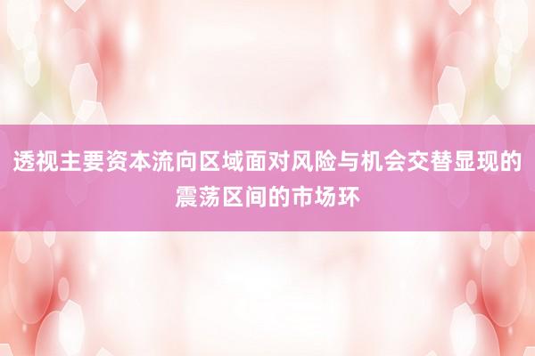 透视主要资本流向区域面对风险与机会交替显现的震荡区间的市场环