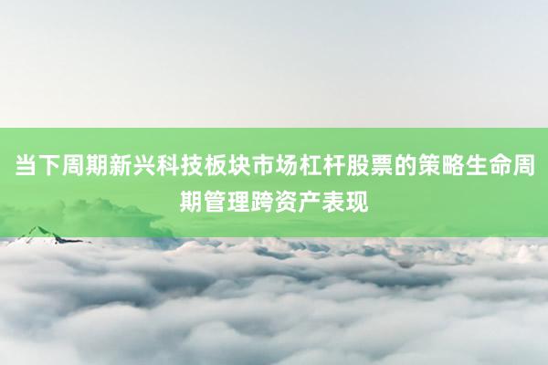 当下周期新兴科技板块市场杠杆股票的策略生命周期管理跨资产表现