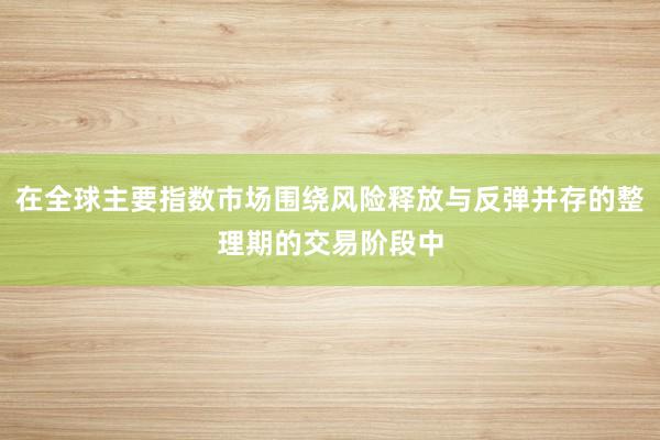 在全球主要指数市场围绕风险释放与反弹并存的整理期的交易阶段中
