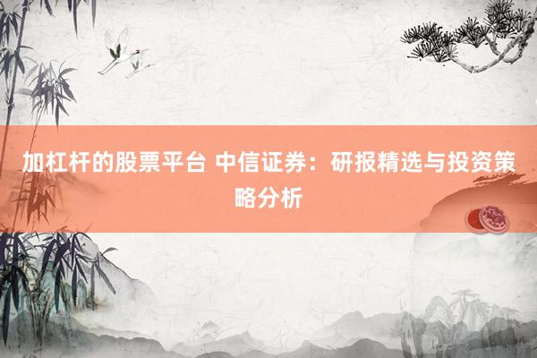 加杠杆的股票平台 中信证券：研报精选与投资策略分析