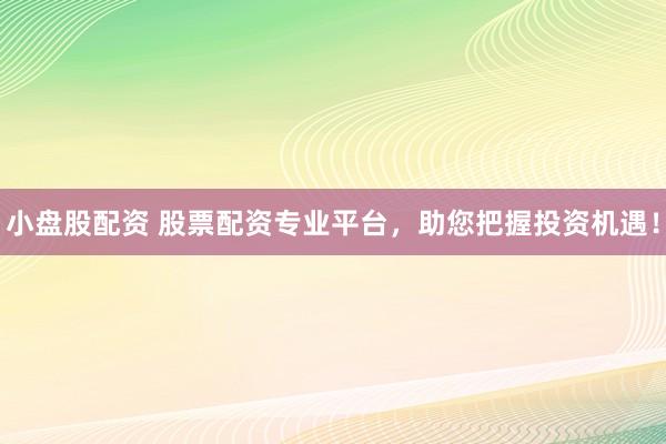 小盘股配资 股票配资专业平台，助您把握投资机遇！