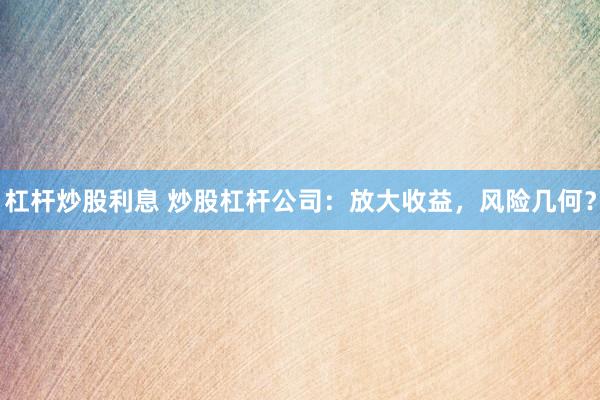杠杆炒股利息 炒股杠杆公司：放大收益，风险几何？
