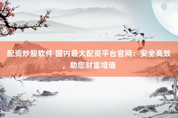 配资炒股软件 国内最大配资平台官网：安全高效，助您财富增值